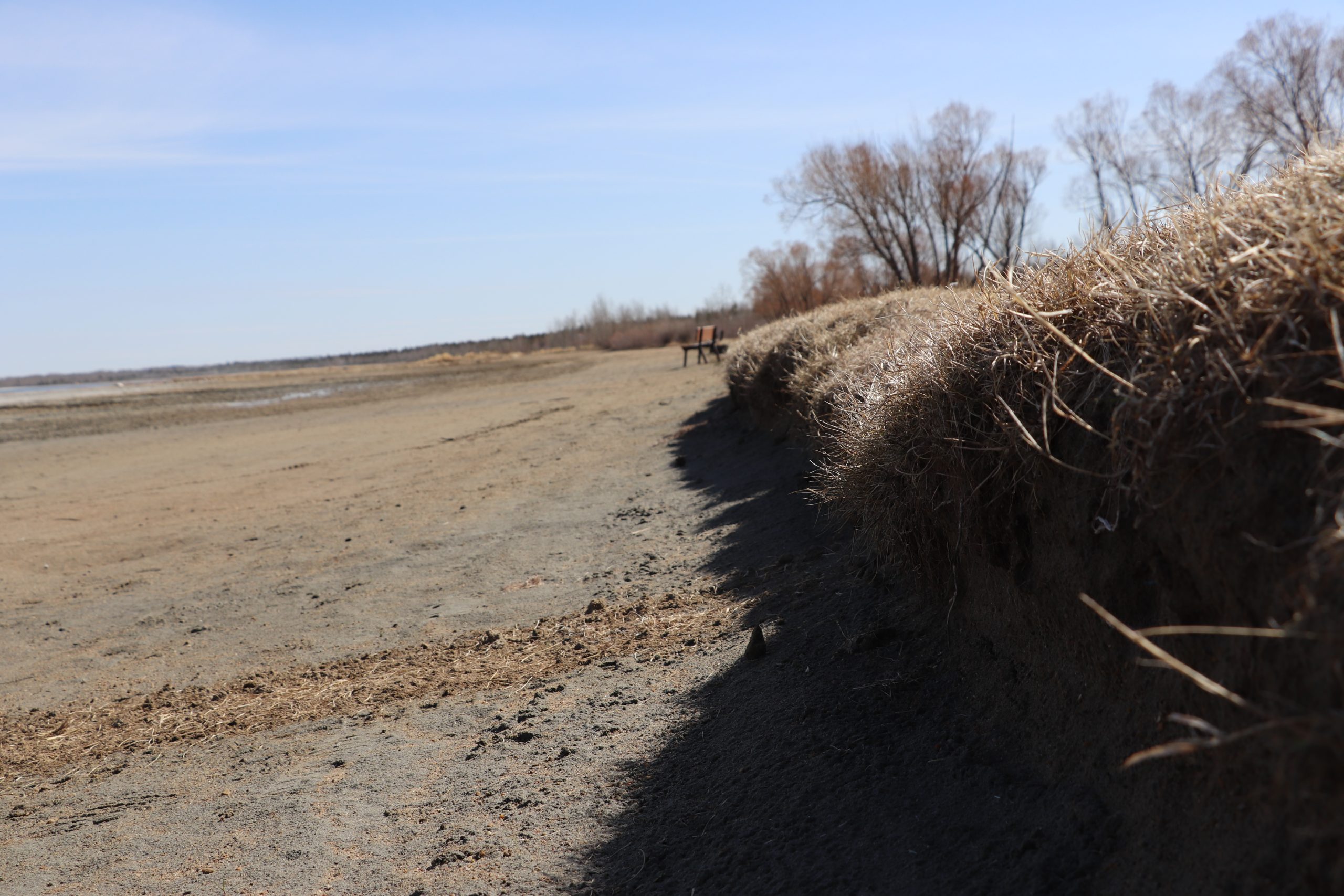 Gull Lake Watershed Society | Gull Lake Alberta – Protecting Gull Lake ...