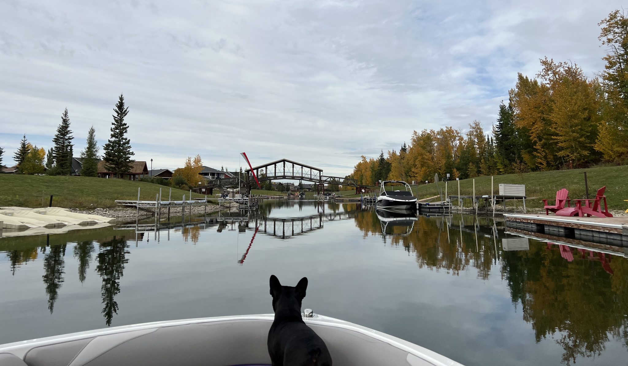 News + Events Gull Lake Watershed Society Gull Lake Alberta